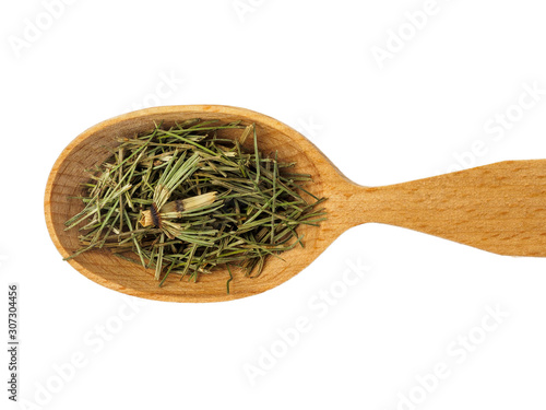 Dry Equisetum arvense or horsetail in a wooden spoon on a white background