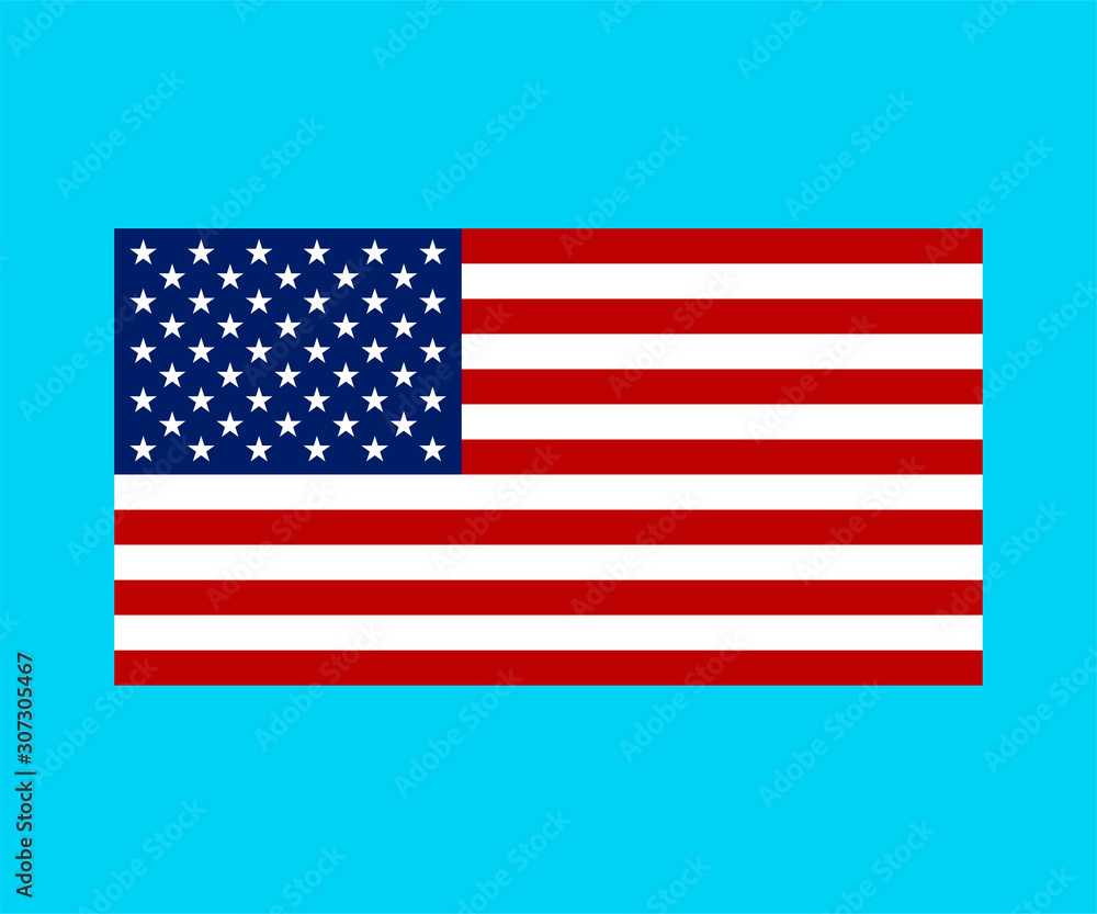 Fototapeta premium USA Flag. American Flag. Star. Vector illustration.