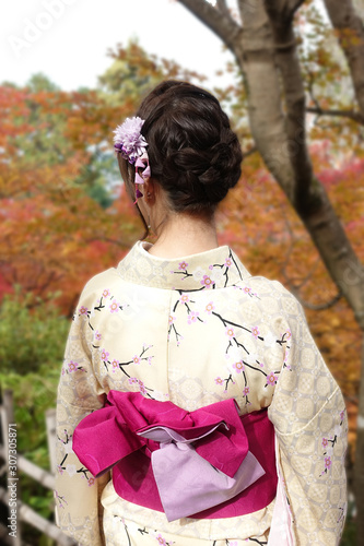 Close up of a back of young woman in a beautiful pastel yellow kimono costume with indigenous flower print and pink belt calls obi. She is standing on autumn leave trees background. 