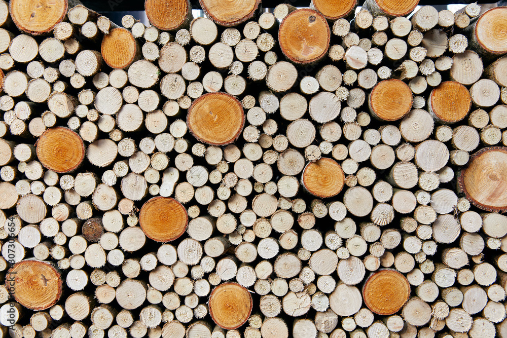 a wall of many felled tree trunks lying on top of each other a wall of many felled tree trunks lying on top of each other