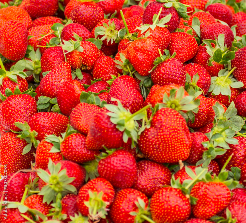 Fresh Strawberry Background Fresh Strawberry Background