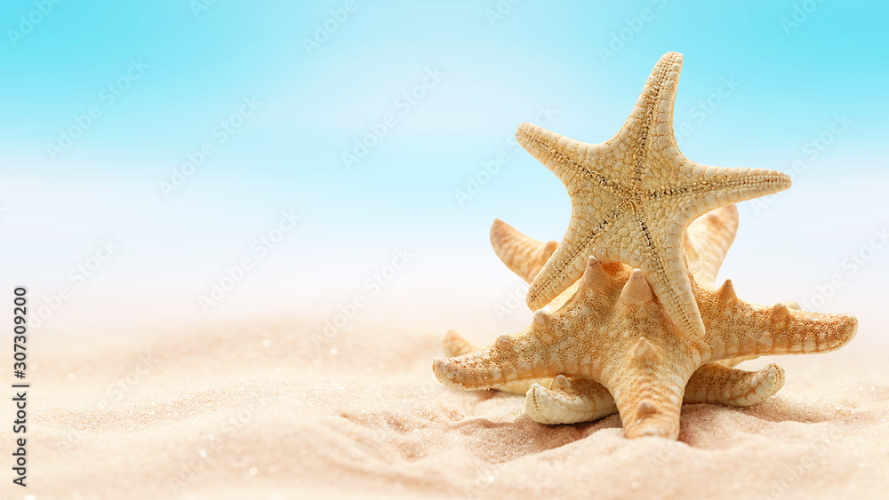 Starfishes on beach in sand. Beach holiday, summertime background, blurred backdrop, marine life. Starfishes on beach in sand. Beach holiday, summertime background, blurred backdrop, marine life.