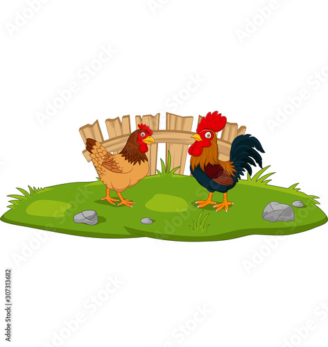 Cute chicken cartoon in the grass
