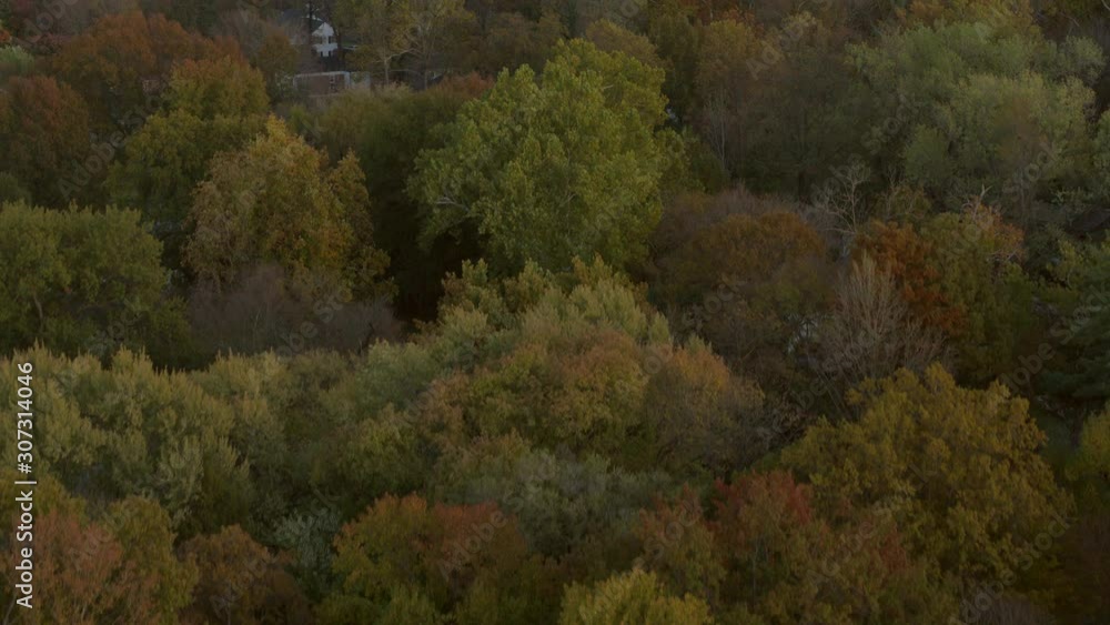 Slow push over beautiful autumn trees and nice houses in the suburbs Slow push over beautiful autumn trees and nice houses in the suburbs