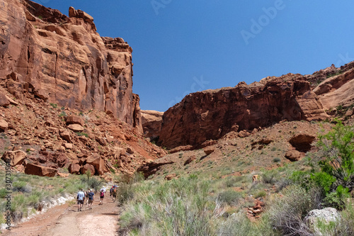 Group Hike in Canyonlands National Park