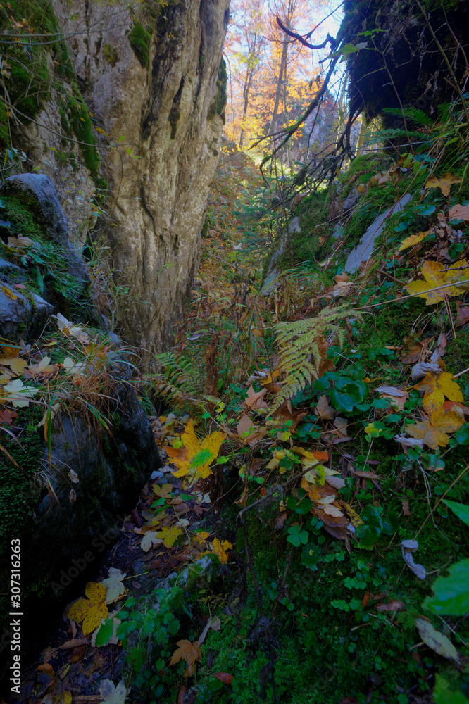 Autumn on the Bijele stijene mountains in Croatia