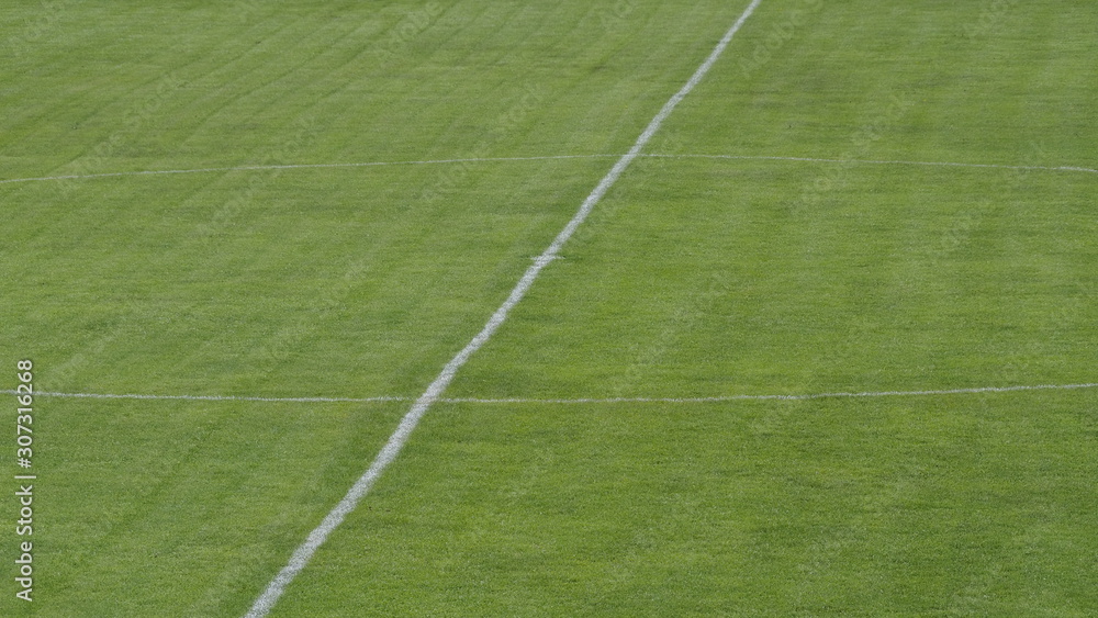 field with lines of grass