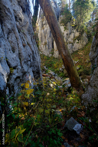 Autumn on the Bijele stijene mountains in Croatia © Goran