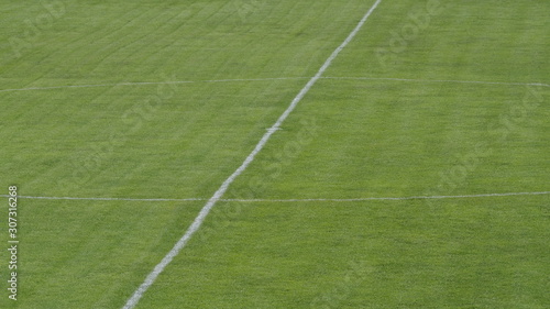 field with lines of grass