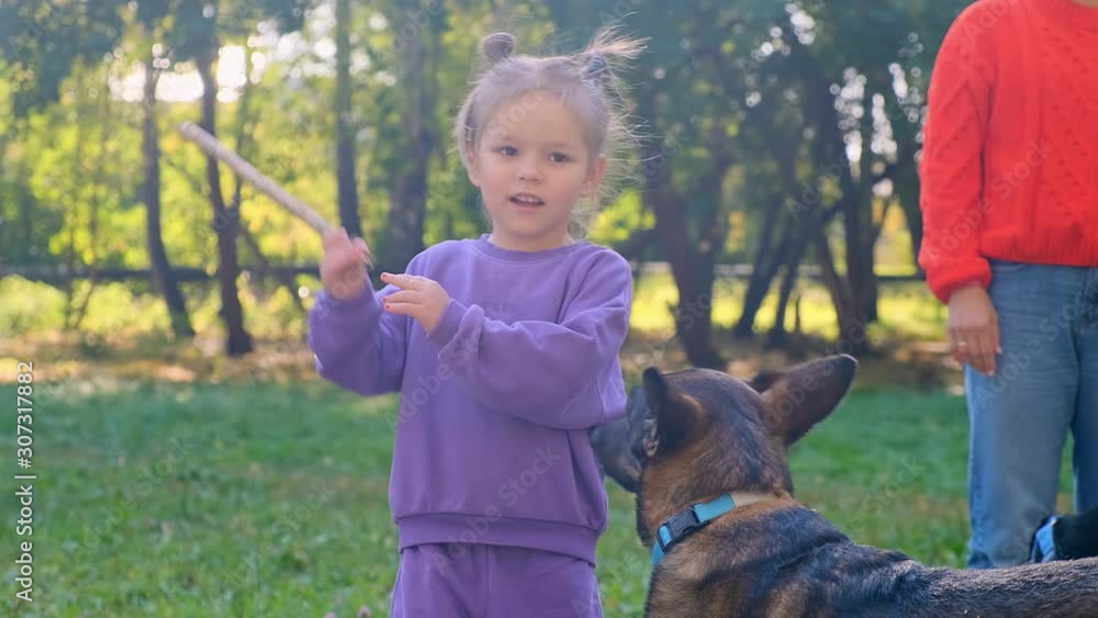 Little girl is playing with her pet. Little girl is playing with her pet. She throws a stick for a dog Little girl is playing with her pet. Little girl is playing with her pet. She throws a stick for a dog