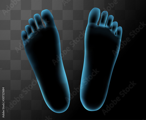 3d illustration,vector foot volume, health and shoe selection