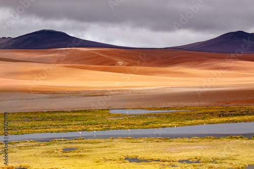 Atacama desert savanna  mountains and volcano landscape  Chile  South America