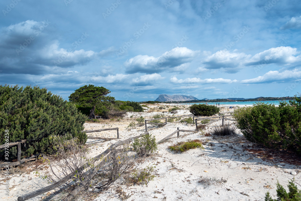 Sardinia sandy landscape on La Cinta beach next to San Teodoro, Italy.
