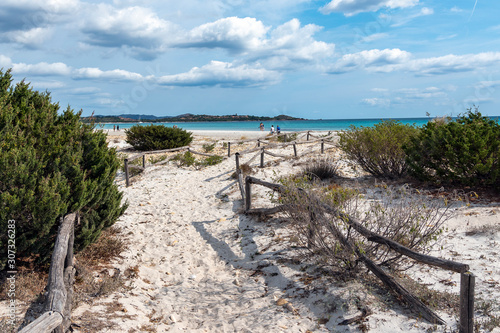 Fototapeta Naklejka Na Ścianę i Meble -  Sardinia sandy landscape on La Cinta beach next to San Teodoro, Italy.