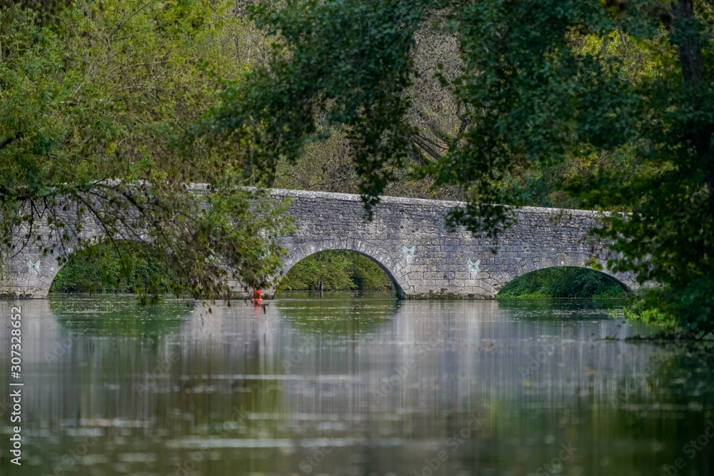 Fototapeta premium pont de pierre sur la rivière