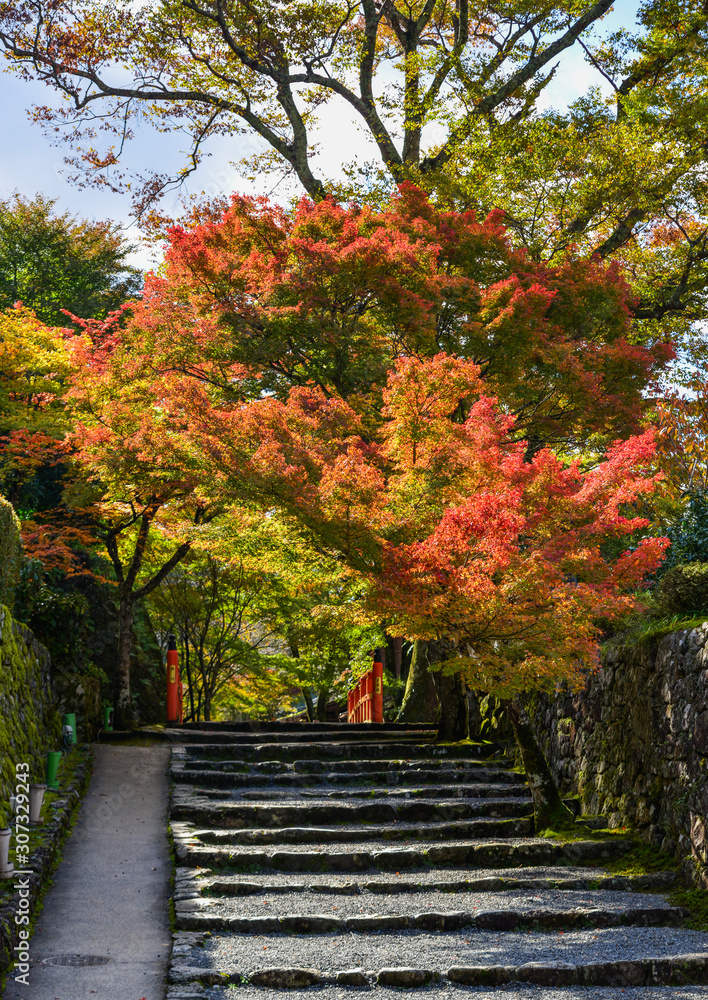 Autumn scenery in Kyoto, Japan Autumn scenery in Kyoto, Japan