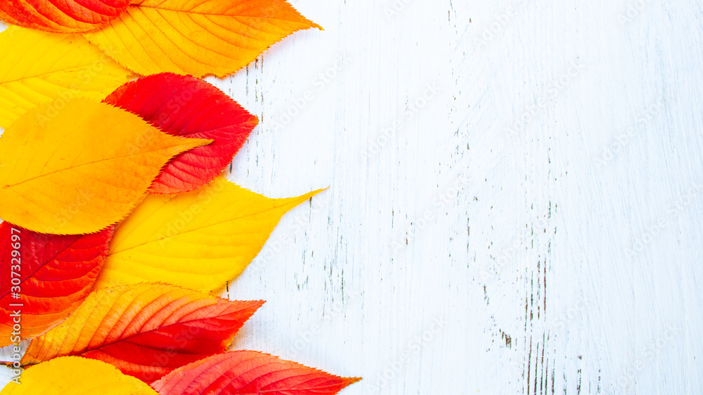 紅葉した秋の葉っぱの背景 文字スペースあり Stock Photo Adobe Stock