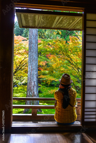 Colorful autumn leaves maple in garden photo