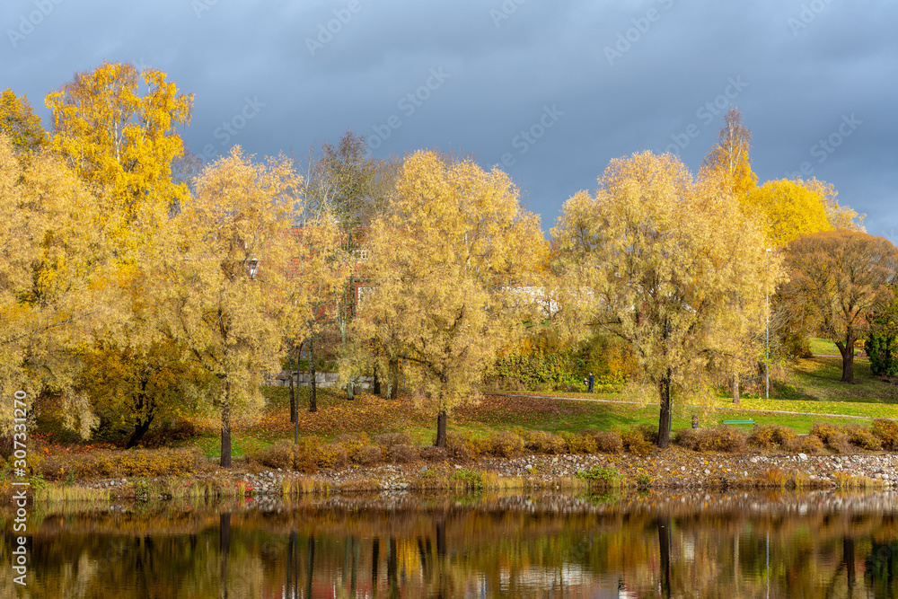 Beautiful autumn colored trees in sunlight along a river in Sweden Beautiful autumn colored trees in sunlight along a river in Sweden