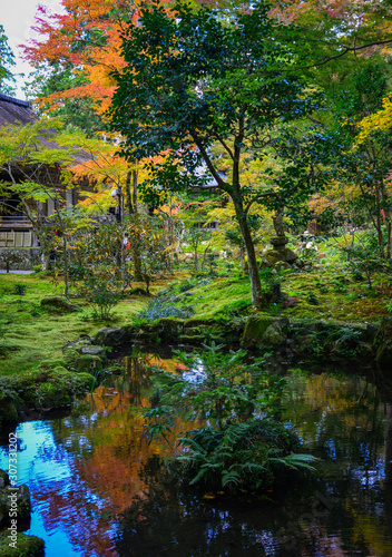 Autumn scenery in Kyoto  Japan