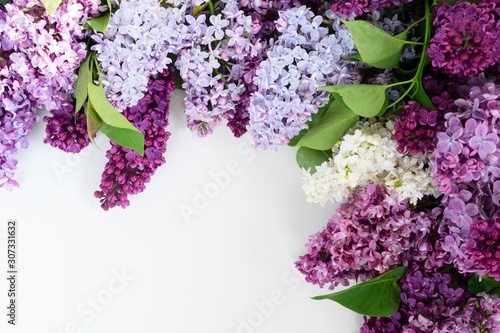 Fresh lilac flowers photo