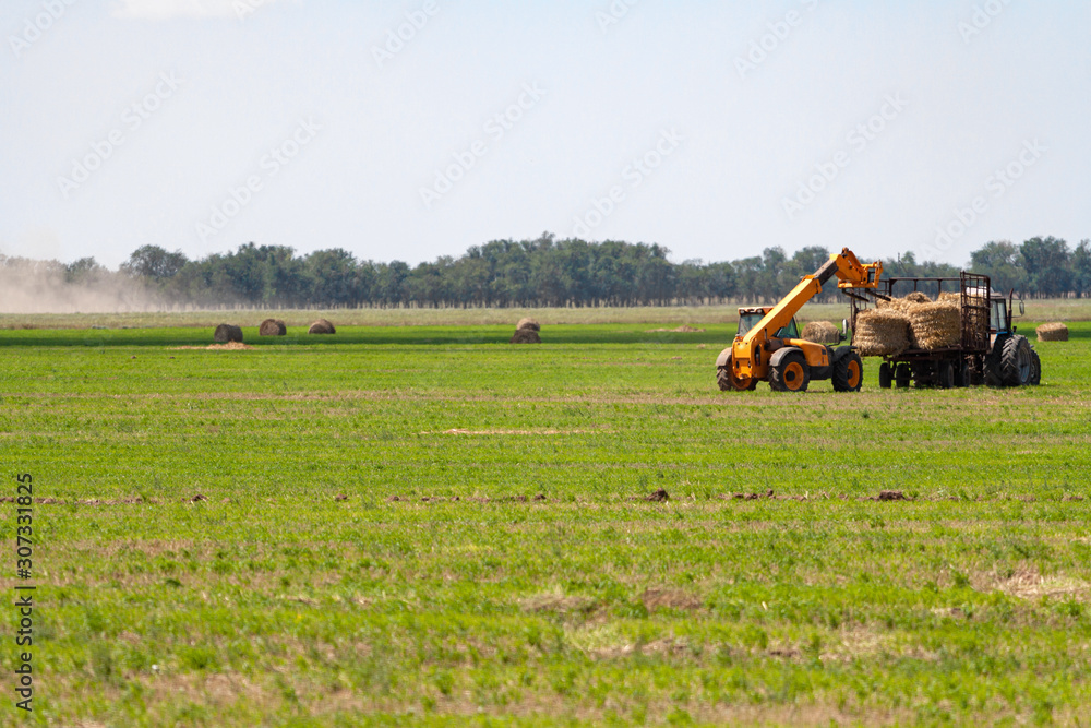 Fototapeta premium Tractor loading hay bales on truck agricultural works