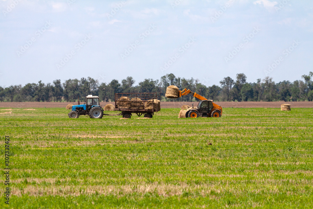 Obraz premium Tractor loading hay bales on truck agricultural works