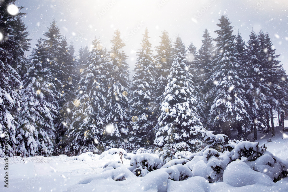 Naklejka premium Frozen winter landscape. Holidays concept.