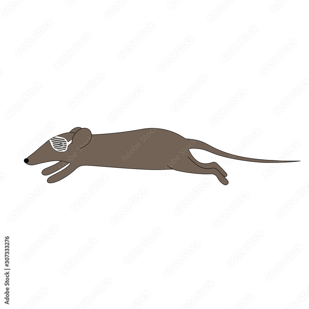 Rat runs in glasses. Vector illustration Rat runs in glasses. Vector illustration