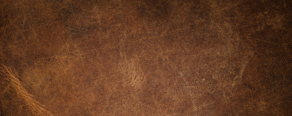 leather texture. simple background texture.