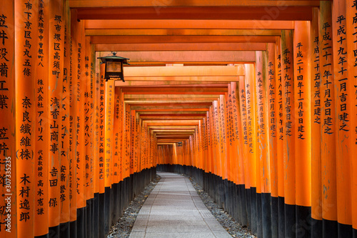 Torii path at Fushimi Inari Taisha Shrine in Kyoto, Japan
