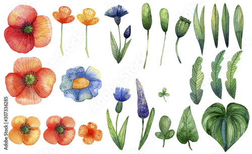 Fototapeta Naklejka Na Ścianę i Meble -  Watercolor wildflowers hand-drawn. Poppies, cornflowers, leaves.