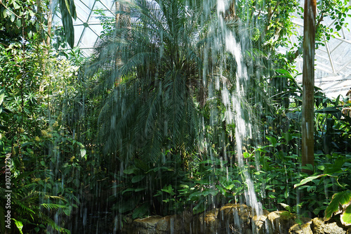 Natural rocky waterfall in rainforest park