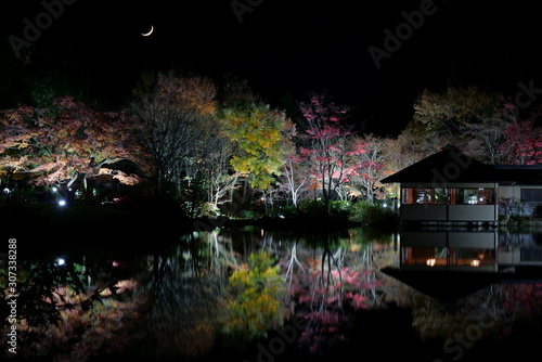 ライトアップされた秋の夜の日本庭園 © askaflight