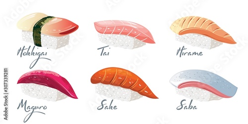 Vector set with japanese dishes from fishes and rice. Hokkigai, Tai, Hirame, Maguro, Sake, Saba sushi with lettering. Collection isolated on white background for menu of restaurant, take away bar.