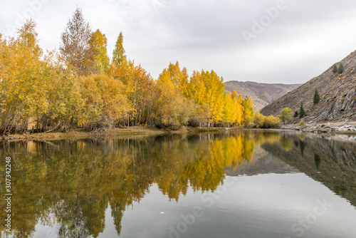 autumn landscape with lake and trees © hrui