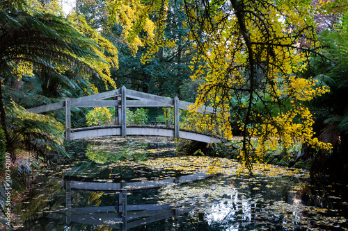 Autumn in the famous Alfred Nicholas Gardens in Melbourne s Dandenong Ranges featuring the reflection of a foot bridge in the pond.