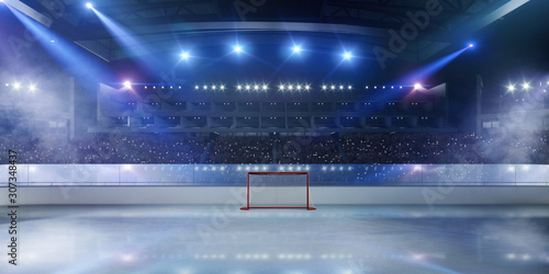 Canvas Print Ice hockey stadium.