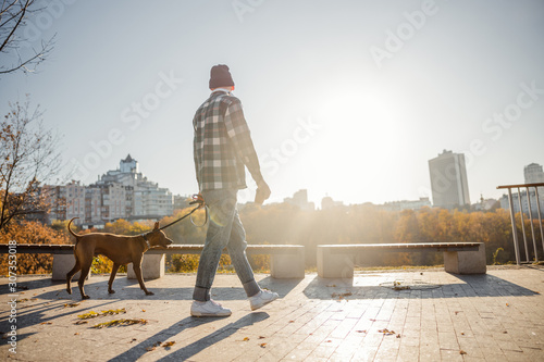 Fotografie, Obraz Perfect sunny day for long walk with pet stock photo