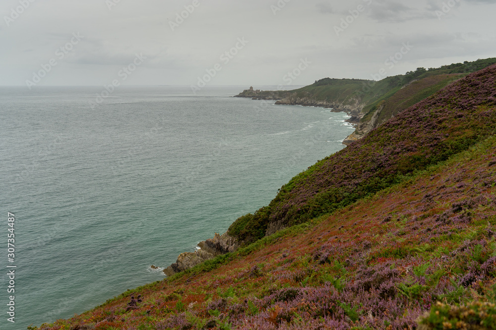 heather fields on cap frehel in romantic travel heather fields on cap frehel in romantic travel