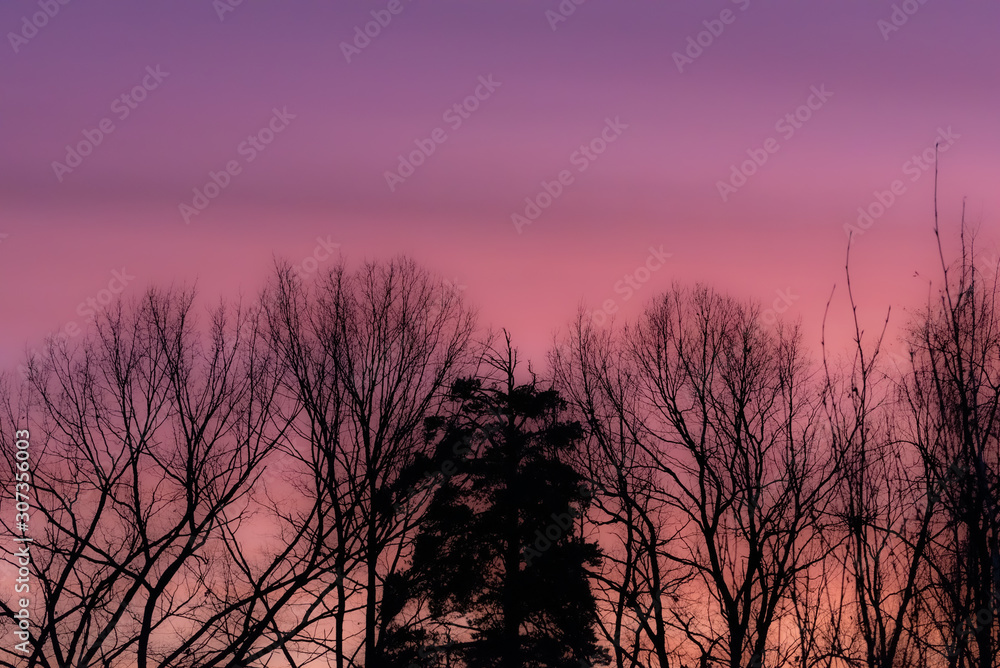 Blurred landscape. Defocused abstract photo of autumn forest at sunset. The beautiful gradient of the sky at sunset
