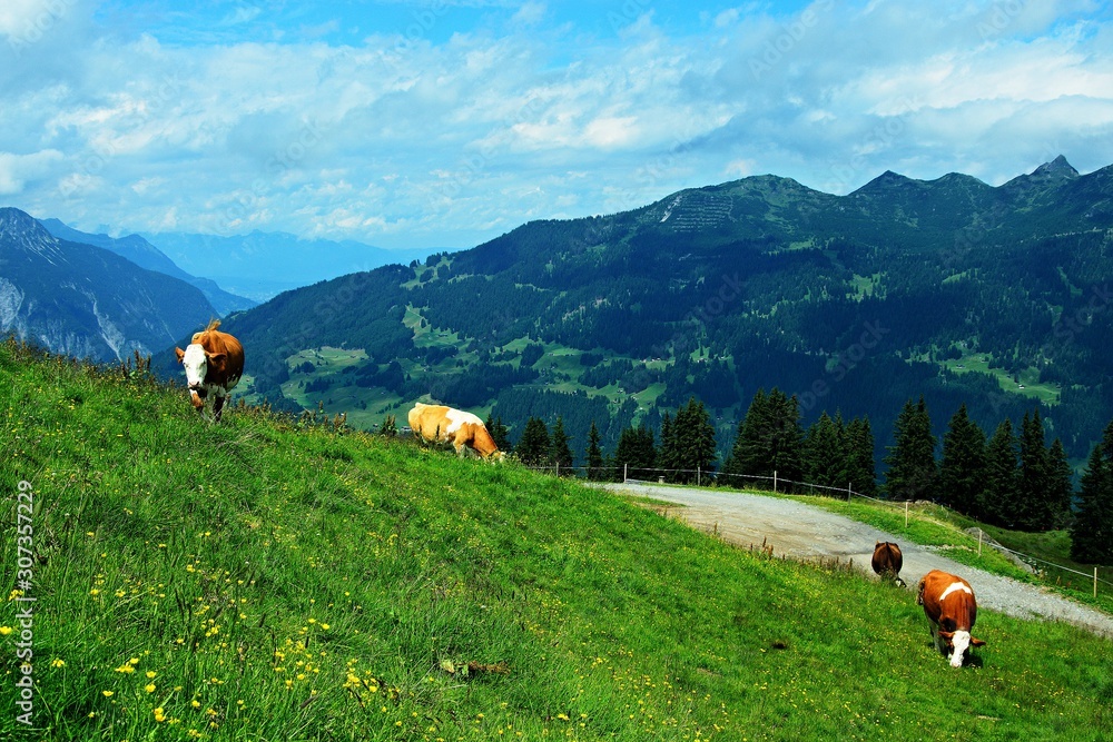 Austrian Alps-view on the valley Montafon