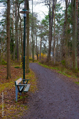 Park bench. Autumn path in swedish forest. Fall in scandinavian woods. Nature, background photo.