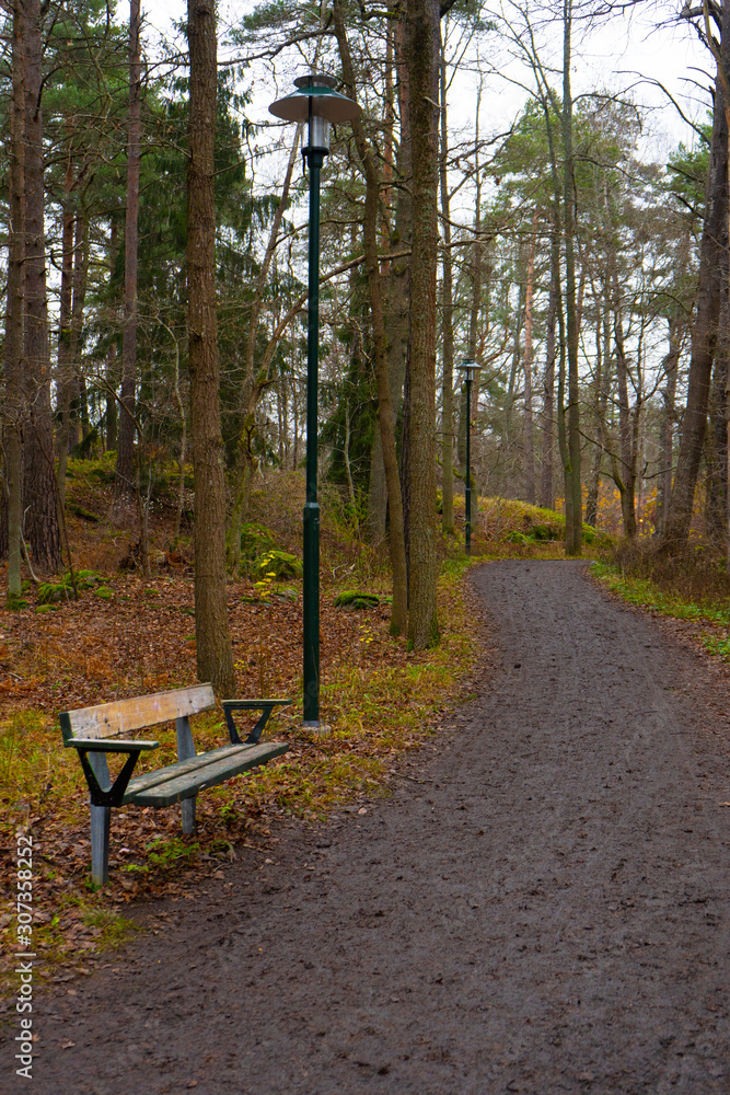Park bench. Autumn path in swedish forest. Fall in scandinavian woods. Nature, background photo. Park bench. Autumn path in swedish forest. Fall in scandinavian woods. Nature, background photo.