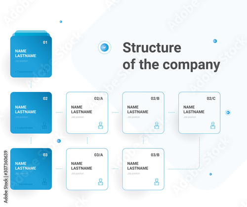 Structure of the company. Business hierarchy organogram chart infographics. Corporate organizational structure graphic elements. 