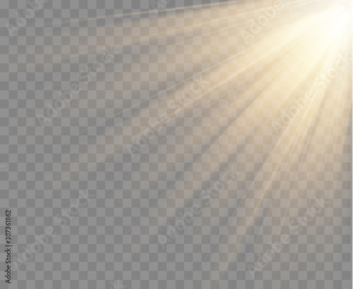 Spotlight isolated on transparent background. Vector sunlight with gold rays and beams. Warm light effect