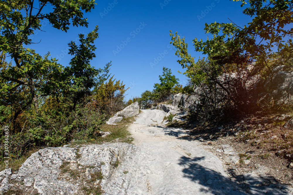 Rocky road in the high forest. Summer landscape. Rocky road in the high forest. Summer landscape.