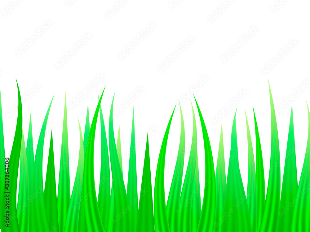 Obraz premium Green grass background. Vector illustration for poster.