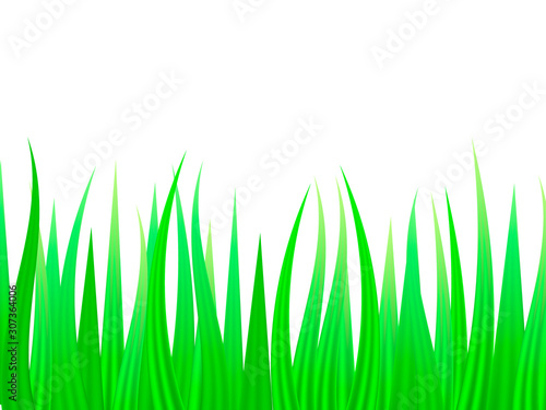 Green grass background. Vector illustration for poster.