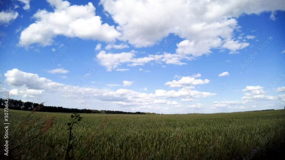 Sunny summer day, the process of cloud formation in the sky. Sunny summer day, the process of cloud formation in the sky.
